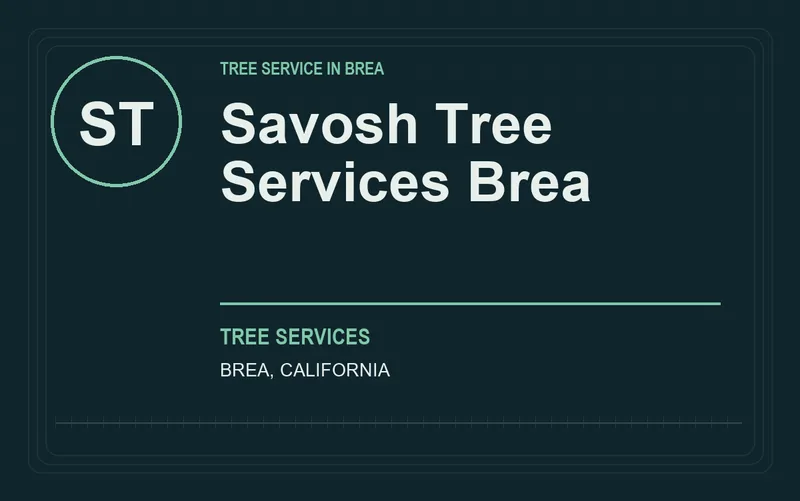 Savosh Tree Services Brea in Brea, California