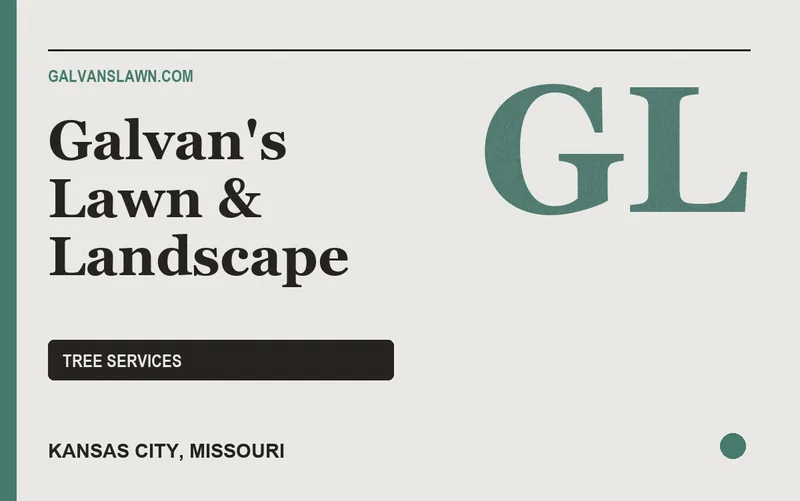 Galvan's Lawn & Landscape in Kansas City, Missouri
