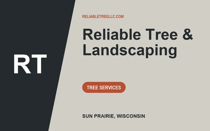 Reliable Tree & Landscaping in Sun Prairie, Wisconsin