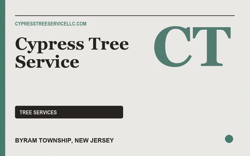 Cypress Tree Service in Byram Township, New Jersey