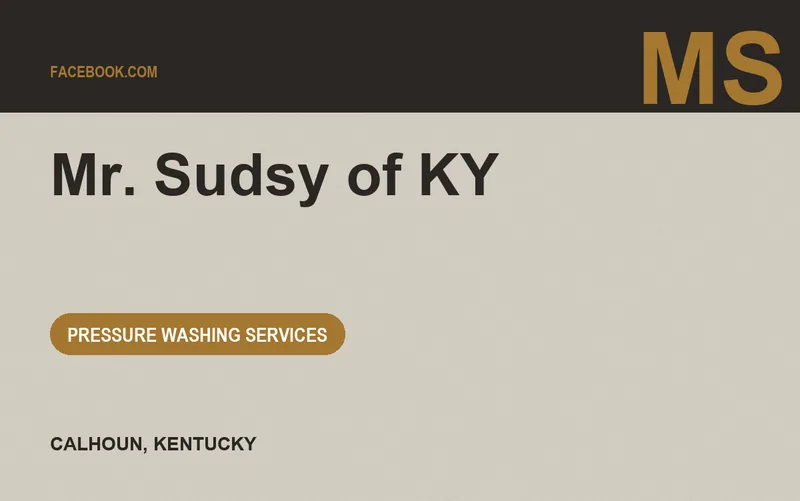 Mr. Sudsy of KY in Calhoun, Kentucky