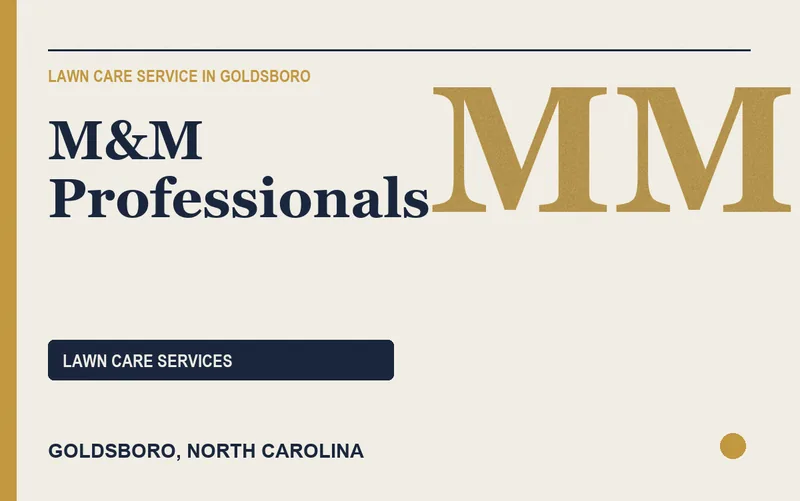 M&M Professionals in Goldsboro, North Carolina