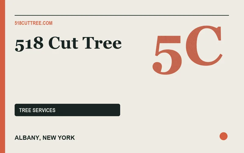 518 cut tree in Albany, New York