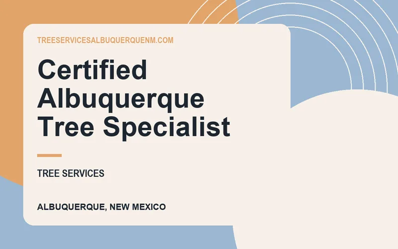 Certified Albuquerque Tree Specialist in Albuquerque, New Mexico