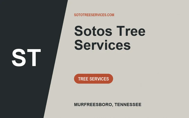 Sotos Tree Services in Murfreesboro, Tennessee
