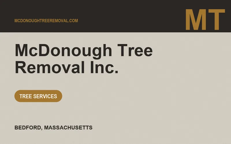 McDonough Tree Removal Inc. in Bedford, Massachusetts
