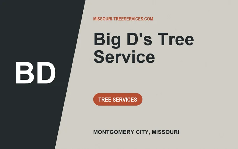Big D's Tree Service in Montgomery City, Missouri