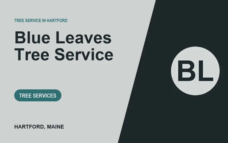 Blue Leaves Tree Service in Hartford, Maine