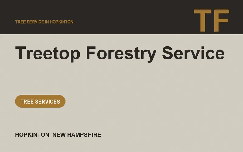 Treetop Forestry Service in Hopkinton, New Hampshire