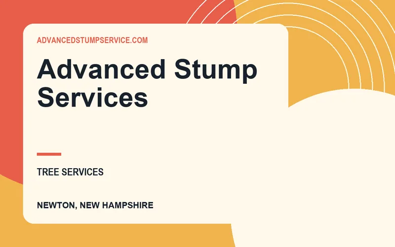 Advanced Stump Services in Newton, New Hampshire
