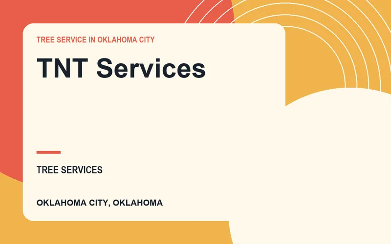 TNT Services in Oklahoma City, Oklahoma
