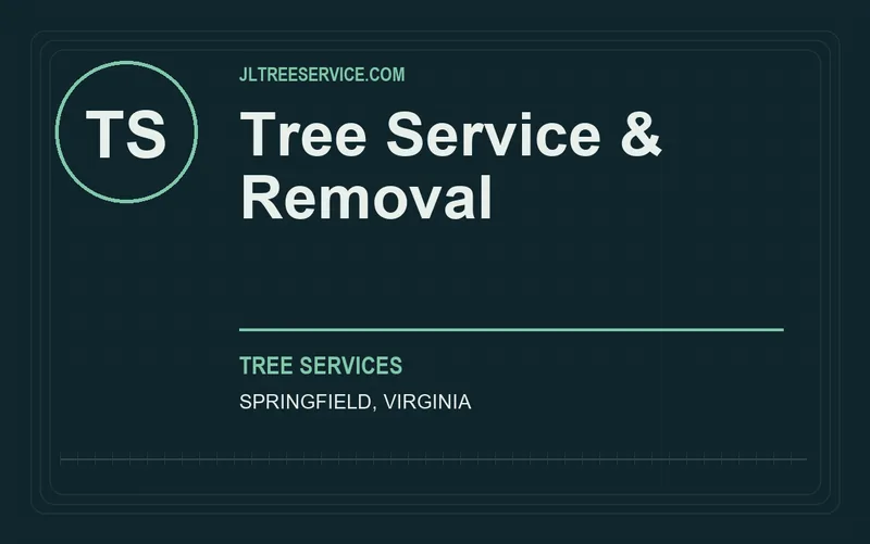 Tree Service & Removal in Springfield, Virginia