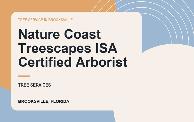 Nature Coast Treescapes ISA Certified Arborist in Brooksville, Florida