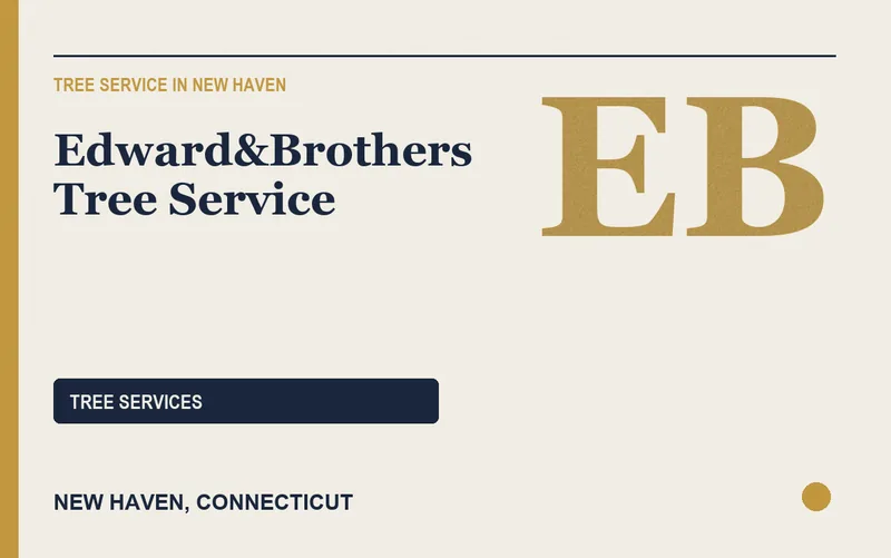 Edward&Brothers Tree Service in New Haven, Connecticut