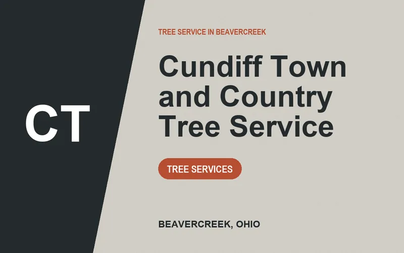 Cundiff Town and Country Tree Service in Beavercreek, Ohio