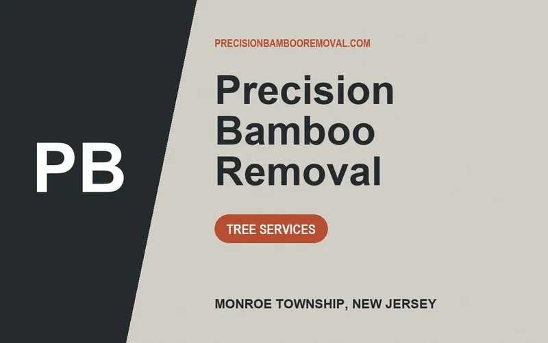 Precision Bamboo Removal in Monroe Township, New Jersey