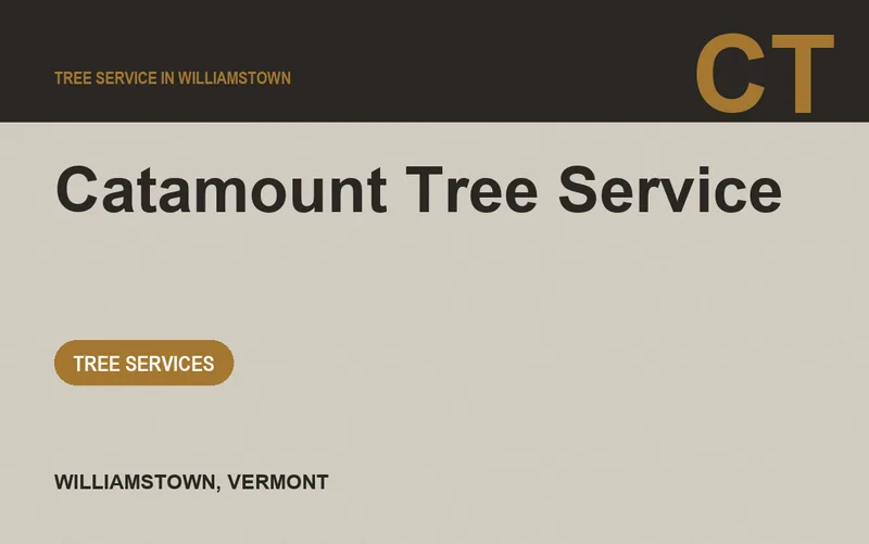 Catamount Tree Service in Williamstown, Vermont