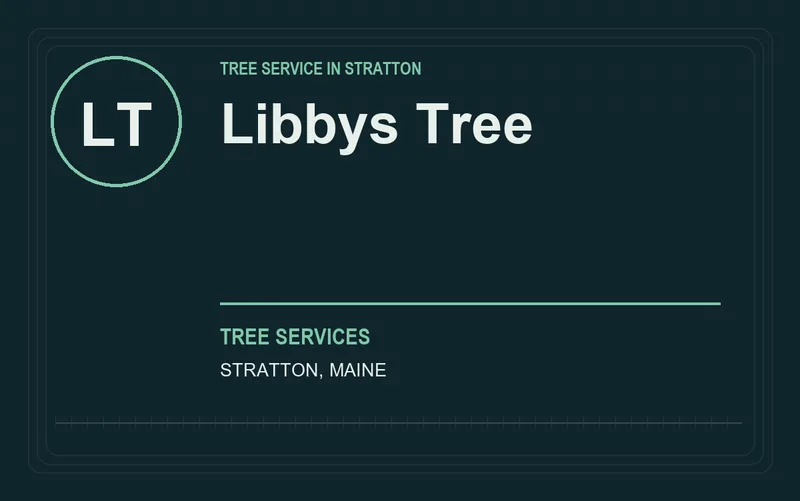 Libbys Tree in Stratton, Maine