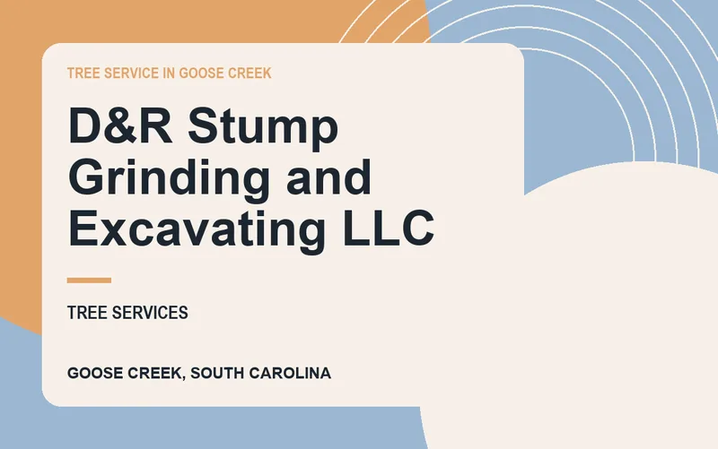 D&R Stump Grinding and Excavating LLC in Goose Creek, South Carolina
