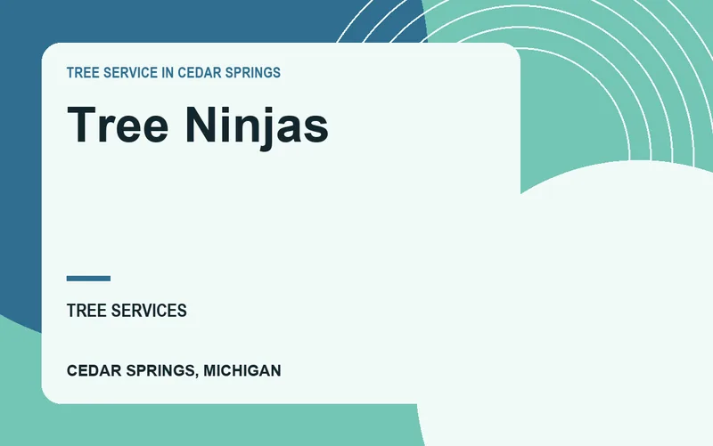 Tree Ninjas in Cedar Springs, Michigan