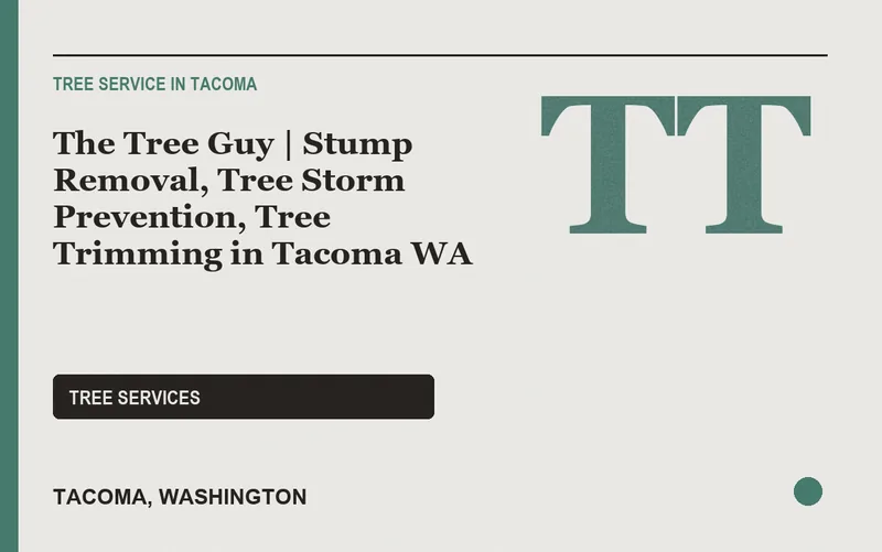 The Tree Guy | Stump Removal, Tree Storm Prevention, Tree Trimming in Tacoma WA in Tacoma, Washington