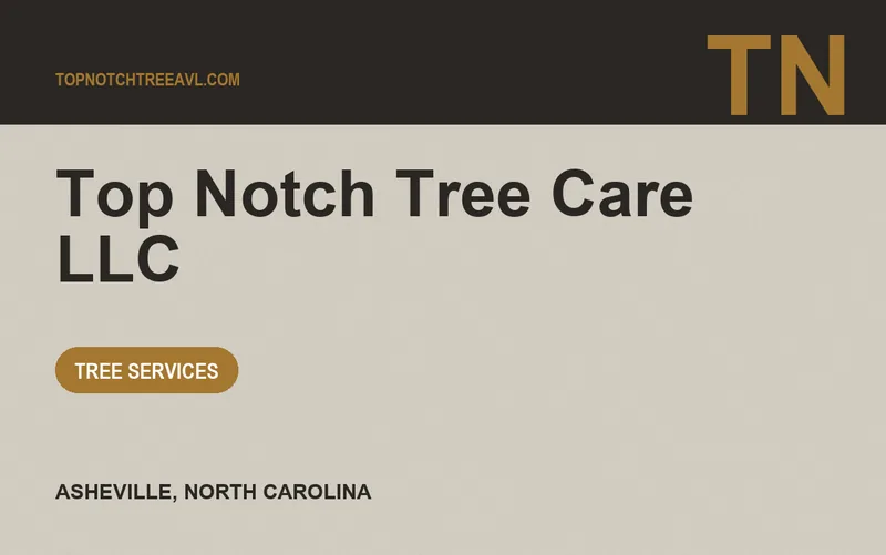 Top Notch Tree Care LLC in Asheville, North Carolina
