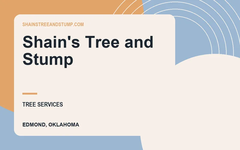 Shain's Tree and Stump in Edmond, Oklahoma