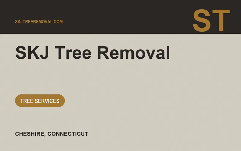 SKJ Tree Removal in Cheshire, Connecticut