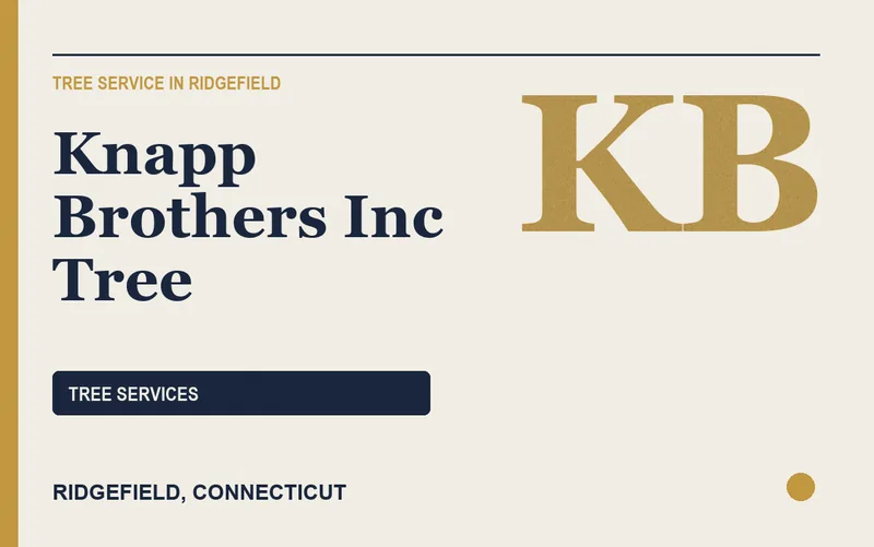 Knapp Brothers Inc Tree in Ridgefield, Connecticut