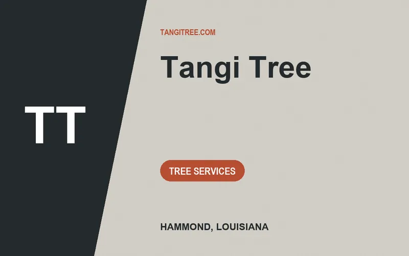 Tangi Tree in Hammond, Louisiana