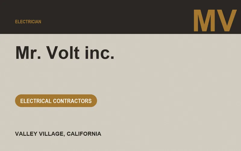 Mr. Volt inc. in Valley Village, California