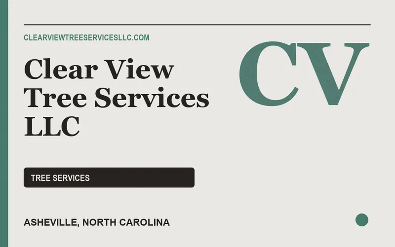 Clear View Tree Services LLC in Asheville, North Carolina