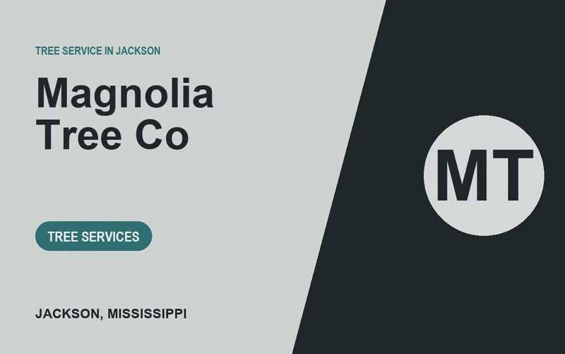 Magnolia Tree Co in Jackson, Mississippi