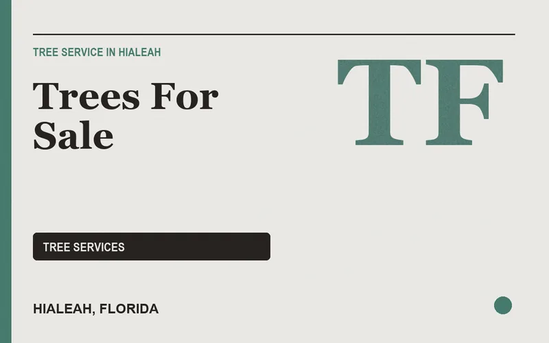 Trees For Sale in Hialeah, Florida