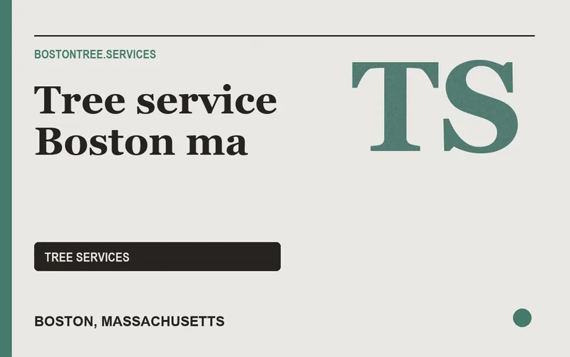 Tree service Boston ma in Boston, Massachusetts