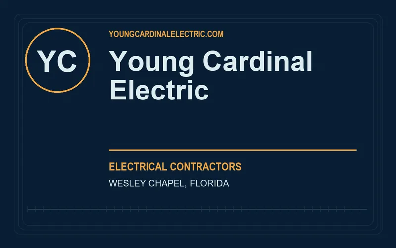 Young Cardinal Electric in Wesley Chapel, Florida