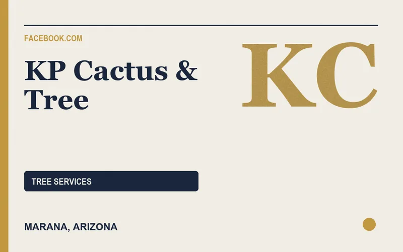 KP Cactus & Tree in Marana, Arizona