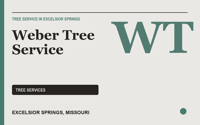 Weber Tree Service in Excelsior Springs, Missouri