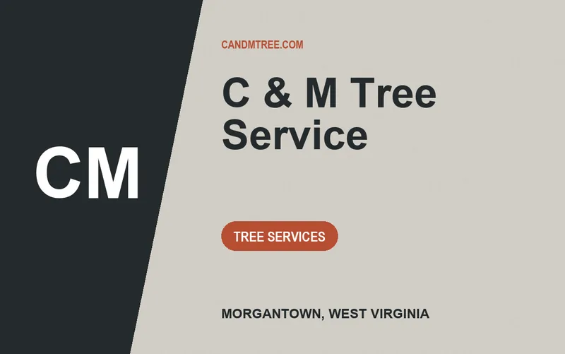 C & M Tree Service in Morgantown, West Virginia