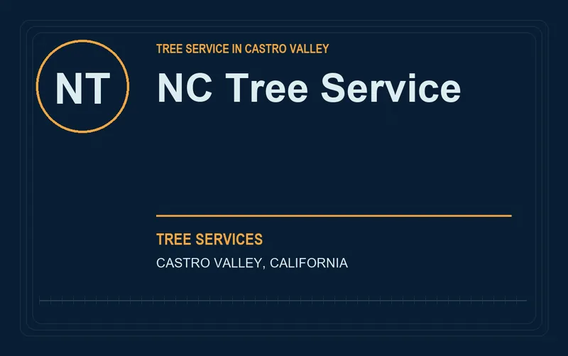 NC Tree Service in Castro Valley, California