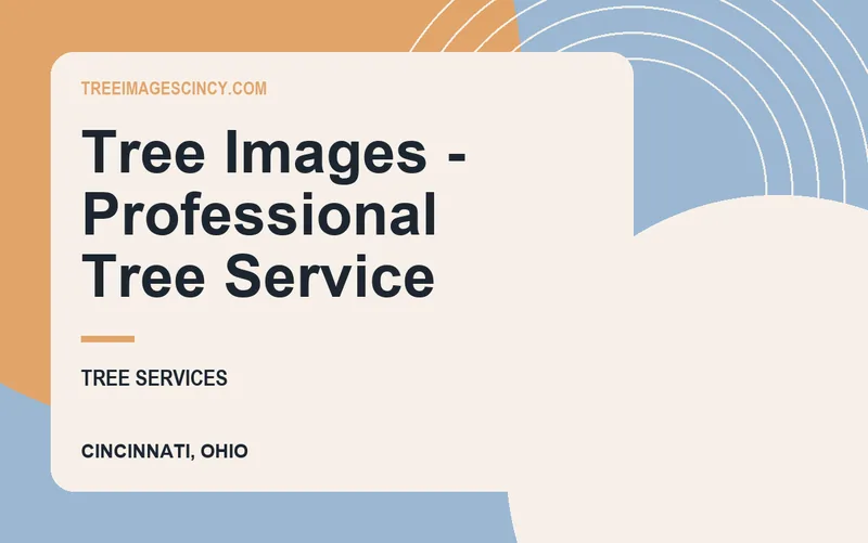 Tree Images - Professional Tree Service in Cincinnati, Ohio