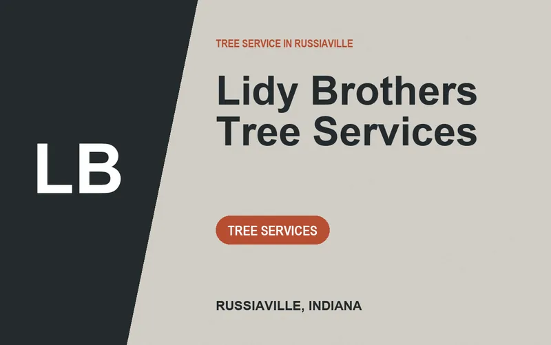 Lidy Brothers Tree Services in Russiaville, Indiana