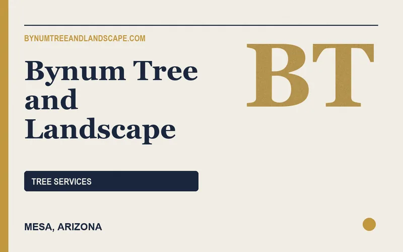 Bynum Tree and Landscape in Mesa, Arizona