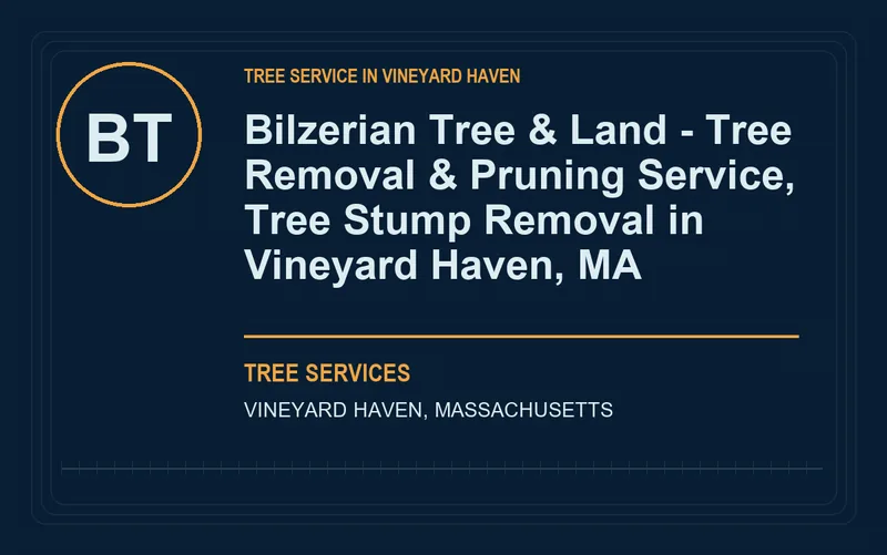 Bilzerian Tree & Land - Tree Removal & Pruning Service, Tree Stump Removal in Vineyard Haven, MA in Vineyard Haven, Massachusetts
