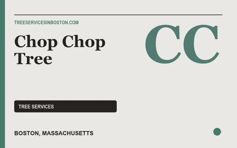 Chop Chop Tree in Boston, Massachusetts