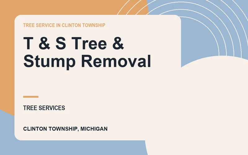 T & S Tree & Stump Removal in Clinton Township, Michigan