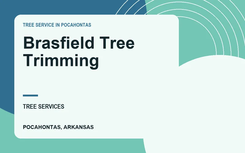 Brasfield Tree Trimming in Pocahontas, Arkansas