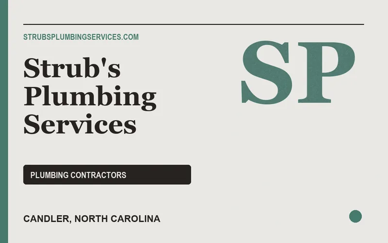 Strub's Plumbing Services in Candler, North Carolina