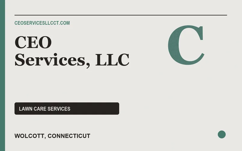 CEO Services, LLC in Wolcott, Connecticut