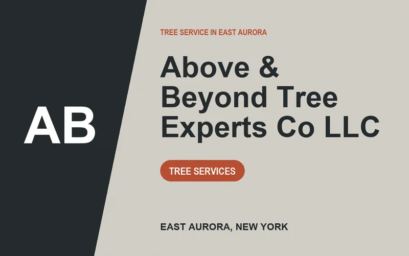Above & Beyond Tree Experts Co LLC in East Aurora, New York